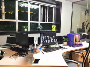 深圳展會(huì)展覽禮儀模特經(jīng)紀(jì)公司 專業(yè)化、一體化的商務(wù)服務(wù)新趨勢(shì)